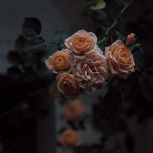 好大好硬睡好多视频
